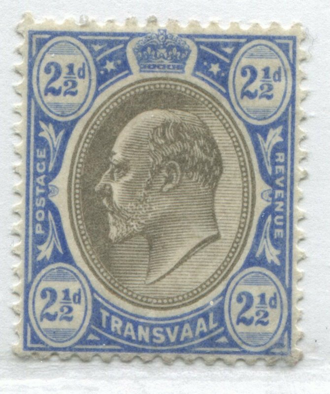 Transvaal KEVIi 1904 2 1/2d mint o.g. hinged 