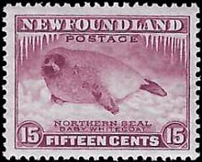 NEWFOUNDLAND   #195 MH (2)