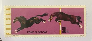 Poland 1963 Scott 1193 MNH - 90g,  Horses, Steeplechasers