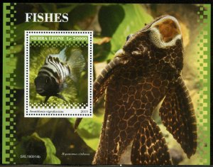 SIERRA LEONE 2019 FISHES  SOUVENIR SHEET MINT NEVER HINGED