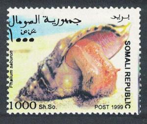 Somalia Shells Snails 1000 Sh