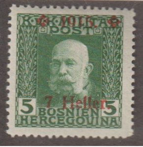 Bosnia & Herzegovina Scott #B5 Stamp - Mint Single