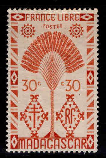 Madagascar Malagasy Scott 244 MH* Traveler's Palm tree 1943