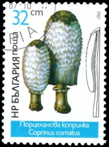 Bulgaria 3235 - Cto - 32s Shaggy Mane Mushroom (1987)