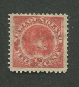 1888 Newfoundland Dog 1/2 Cent Postage Stamp #56 Mint Hinged F/VF 