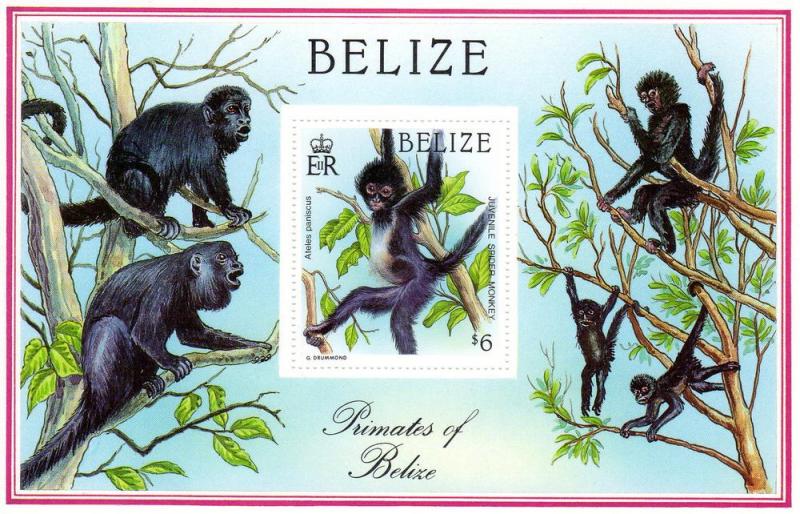 Belize 1987 Sc#872 Spider Monkey Souvenir Sheet (1) MNH