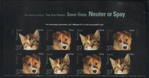 ALLY'S US Plate Block Scott #3670-71 37c Neuter & Spay [8] MNH F/VF [P-37]