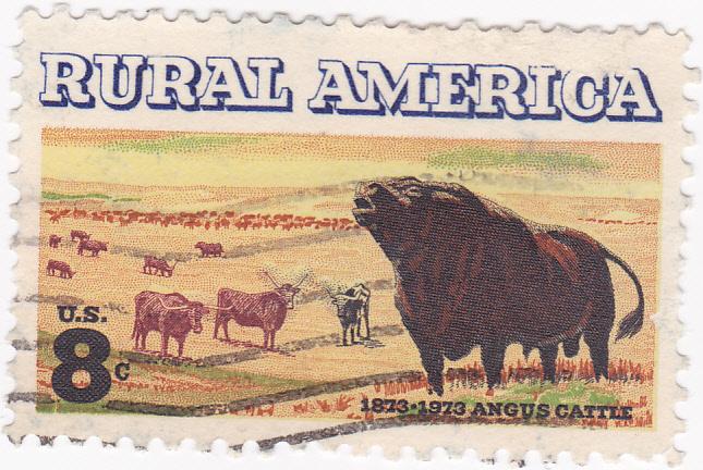 USA - 1973 Rural America Cattle 8c -used Scott #1504