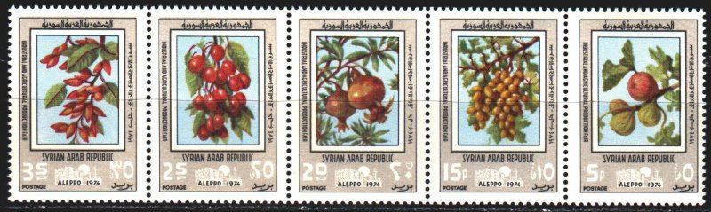 Syria. 1974. 1274-78. Berries, flora. MNH. 