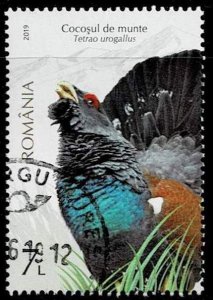 Romania 2019, Sc.#6262 used, Capercaillie (Tetrao urogallus)