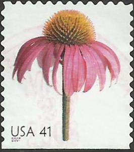 # 4184 USED CONEFLOWER