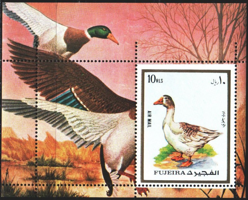 Fujairah. 1972. bl131a. Goose, birds, fauna. MNH. 