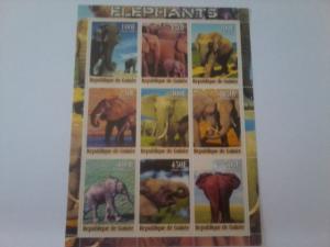 GUINEA GUINEE SHEET ELEPHANTS WILDLIFE