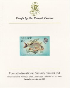 BELIZE 1984 MARINE LIFE imperf on FORMAT INT PROOF CARD