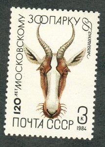 Russia 5227 Moscow Zoo MNH Single