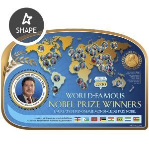 NIGER - 2019 - Nobel, Ahmed Zewaii - Perf Souv Sheet - Mint Never Hinged