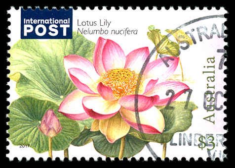 AUSTRALIA Sc 4682 USED - 2017 $3 - Lotus Lily