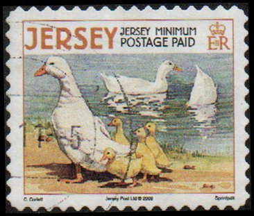 Jersey 1335d  - Used - (35p) Ducks / Ducklings (2008) (cv $1.10)