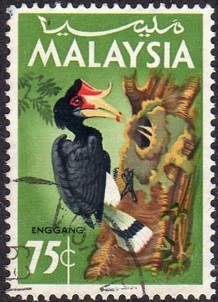 Malaysia 23 - Used - 75c Rhinoceros Hornbill (1965) (cv $0.60) (3)