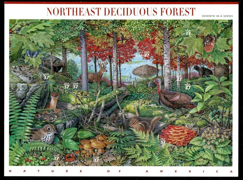 3899 Nature of America Northeast Deciduous Forest 37¢ Stamp Sheet 7th in Series