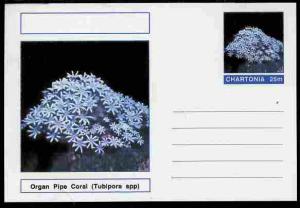 Chartonia (Fantasy) Coral - Organ Pipe Coral (Tubipora sp...