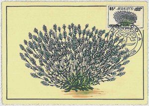 32434 - MONACO - MAXIMUM CARD: nature FLOWERS 1959 #3-