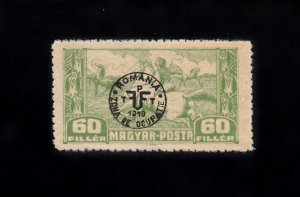 Hungary Scott #3N19 MH