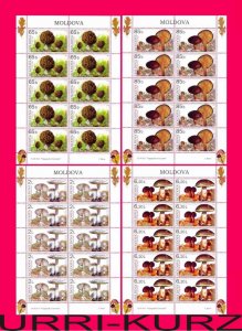 MOLDOVA 2007 Nature Flora Plants Mushrooms Fungi 4 m-s Sc552-555 Mi578-581 MNH