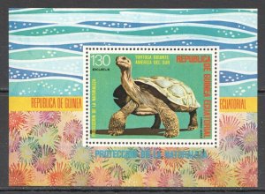 Wb185 Guinea Ecuatorial Turtles Reptiles Marine Life Fauna Bl Mnh