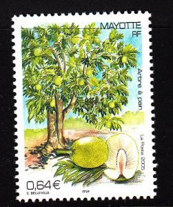 Mayotte MNH Scott #213 64c Breadfruit and tree