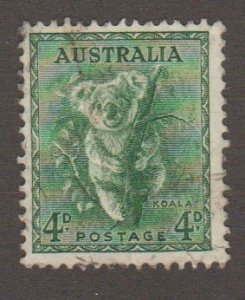 Australia 171 Koala