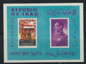 Iraq 363a MH 1965 Sheet / few brown spots on back (fe5818)