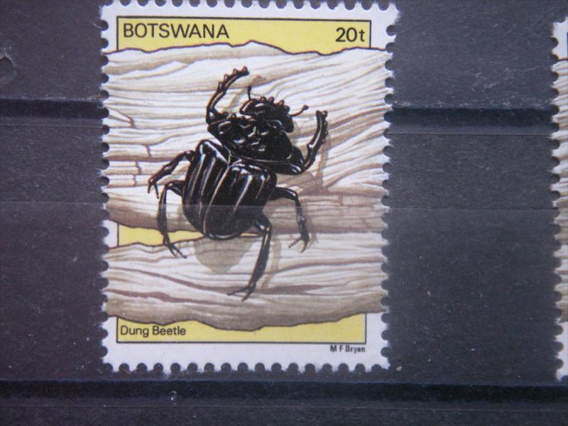 BOTSWANA, 1981, MNH 10t, Dung beetle, Scott 271