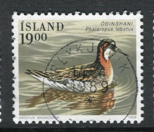ICELAND; 1980s early Birds issue fine used 19k. value