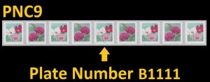 US 5665a Butterfly Garden Flowers Nonprofit Org 5c PNC9 B1111 MNH 2022 