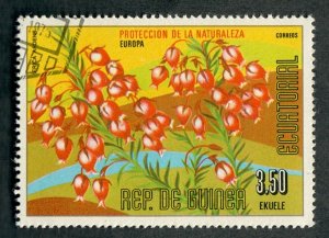 Equatorial Guinea European Flower used CTO single