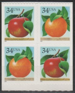 3493-94d,  BLK-4 Apple & Orange  MNH, '.34 cent' (2)