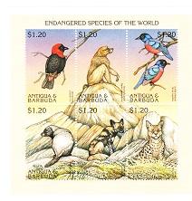 Animals in the wild 6 different