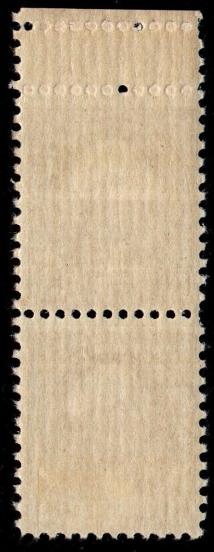 U.S. #720 MLH Top Margin Pair with Full Gutter @ Top