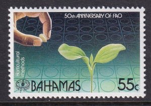 Bahamas 836 MNH VF