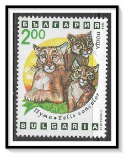 Bulgaria #3741 Wild Cats MNH