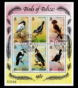 Belize  Cancelled Souvenir Sheet Scott #500 (Birds)