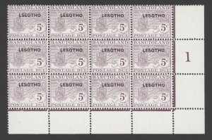 1966 Lesotho Scott J2, J2a LSEOTHO error block of 12 MNH