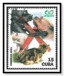 Caribbean #4139 Cats & Dogs CTO