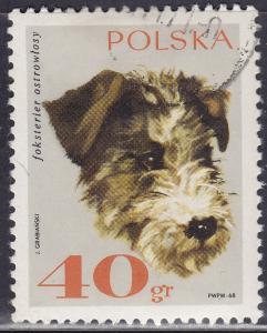 Poland 1637 Rough-Haired Fox Terrier 40GR 1969