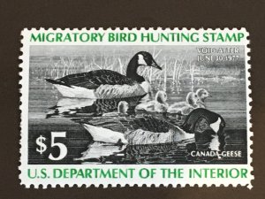 RW43 1976 Federal Duck Stamp Family of Canada Geese VF MNH $5.00 APS LIFE MEMBER