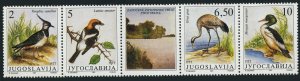 Yugoslavia 2086, MNH. Mi 2463-2466. Birds 1991. Vanellus, Senator,Grus,Mergancer