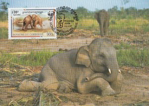 Cambodia 1997 Maxicard Sc #1597c 900r Asian elephant WWF