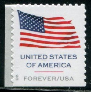 6020 US (73c) United States of America Flag SA bklt, MNH AP