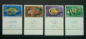 Israel Red Sea Fish & Shells 1962 Marine Life Ocean (stamp) MNH *see scan